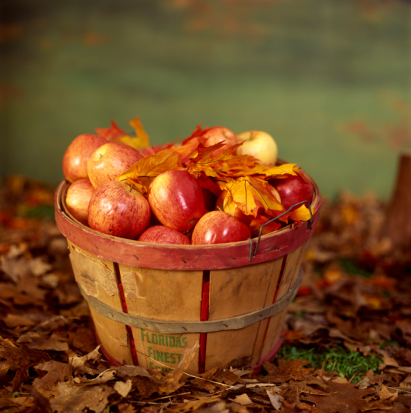 Autumn = Apples!